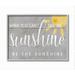 Stupell Industries Be the Sunshine by Daphne Polselli - Graphic Art Print | 20 H x 16 W x 1.5 D in | Wayfair ab-441_gff_16x20