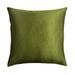 Everly Quinn Dicken Square Pillow Cover & Insert Down/Feather/Polyester in Green | 20 H x 20 W x 5 D in | Wayfair 3EFB1E9368574FABB1BF8077E619BC0C