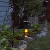 Echo Valley 9.38" Solar Powered Integrated LED Outdoor Hanging Light in Black | 9.38 H x 6.25 W x 6.25 D in | Wayfair 4522BPK2