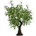 Illuminated Trees 6 Foot Apple Tree, Green Apple Leaves, Warm Led Lights in White | 58 H x 52 W x 52 D in | Wayfair NBL-A-145 WW