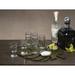 Zodax Liana Leaf 6-Shot Tequila Set Glass | 4 H x 1.4 W in | Wayfair IN-6489