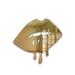 Ebern Designs Melting Dripping Lips Acrylic Wall Décor in Gray/Yellow | 12 H x 16 W x 1 D in | Wayfair 98D42A99B21244EBA86019E5250E7F26