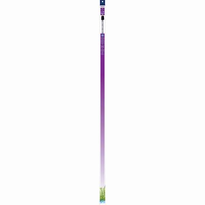Aqueon Beauty Max LED Aquarium Light Bulb, 48" L