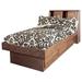 Forest Designs Twin Bookcase Headboard Wood in Brown | 42 H x 42 W x 13 D in | Wayfair 3010-B-HO