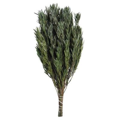 Vickerman 649862 - 12