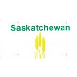 Design it Yourself Saskatchewan Look Alike Plate All wording is Free