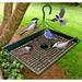 Arlmont & Co. Leandro Platform Tray Bird Feeder Metal in Green | 2 H x 12 W x 16 D in | Wayfair 126E7B63E7F14FD9BCB4C48BFD029BDF