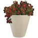 Sunnydaze Walter Indoor/Outdoor Planter - Antique White - 15.5 - Single