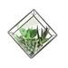 Vickerman 5.5 Artificial Green Succulents Diamond Terrarium.
