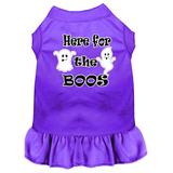 Mirage Pet 58-64 PR4X Here for the Boos Screen Print Dog Dress Purple - 4XL 22