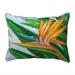 Betsy Drake SN080 11 x 14 in. Bird of Paradise Small Indoor & Outdoor Pillow