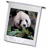 3dRose Asia China Chongqing. Giant Panda bear Chongqing Zoo.-AS07 KWI0155 - Kymri Wilt - Garden Flag 12 by 18-inch