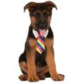 Rubies Costume Co Formal Circus Clown Rainbow Tie Pet Collar Dog Costume Accessory Med-Large