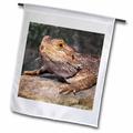 3dRose Bearded Dragon Lizard - NA02 CAD0036 - Claudia Adams - Garden Flag 12 by 18-inch