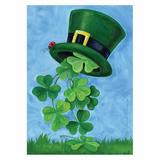 Toland Home Garden Shamrock Shower Flag