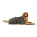 Bone Dry Pet Drying Collection Embroidered Terry Microfiber Towel
