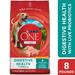 Purina One Plus Digestive Health Dry Dog Food with Added Vitamins Minerals & Nutrients Chicken 8 lb Bag