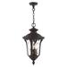 Livex Lighting - Oxford - 3 Light Outdoor Pendant Lantern in Traditional Style -