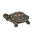 Hi-Line Gift Ltd. Large Spotted Turtle Indoor/Outdoor Statue