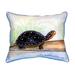 Spotted Turtle Indoor/Outdoor Lumbar Pillow