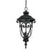 Acclaim Lighting 2126 Naples 3 Light 24.5 Height Outdoor Pendant