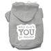 Mirage Pet You Go Fetch Screen Print Pet Hoodies Grey Size Med