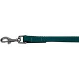 Mirage Pet 124-1 TL5804 Plain Nylon Pet Leash Teal - 0.62 in. by 4 ft.