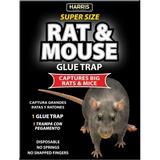 Harris Super-Size Rat and Mouse Glue Trap with Lure 1 Trap