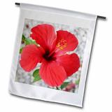 3dRose Scarlet Hibiscus - bunga raya flower flowers hibiscus hibiscus rosa sinensis plant plants - Garden Flag 12 by 18-inch