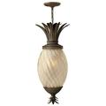 Hinkley Lighting - One Light Hanging Lantern - Plantation - 4 Light Medium