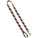 Deluxe Dog Leash: Rainbow Stripe 1 inch by 4 feet Sublimated Polyester by Moose Pet Wear