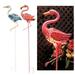 Crosslight AD038Mail Solar Flamingo & Crane Garden Stake Pack of 2