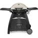 Weber Q 3200 Liquid Propane Gas Grill in Titanium