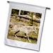 3dRose Coyote Yellowstone National Park Wyoming USA - US51 POX0119 - Pete Oxford - Garden Flag 12 by 18-inch