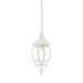 Acclaim Lighting 5056BK Chateau 1-Light Matte Black Hanging Light