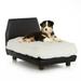 Club Nine Pets Lido Orthopedic Pet Bed for Dogs. Medium Ivory.