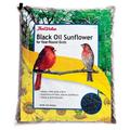 JRK Seed & Turf Supply 106118 True value 10 lbs Sunflower Bird Seed