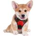 rabbitgoo Dog Harness No-Pull Pet Harness with 2 Leash Clips Adjustable Soft Padded Dog Vest Reflective Outdoor Pet Oxford Vest with Easy Control Handle for Small Dogs Red