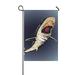 MYPOP Shark Yard Garden Flag 28 x 40 Inches