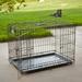 MidWest Homes For Pets Double Door iCrate Metal Dog Crate 36