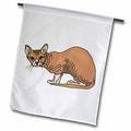 3dRose Hairless Cat - Garden Flag 12 by 18-inch