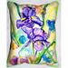 Two Irises Indoor & Outdoor Throw Pillow 16 x 20 in.