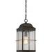 Nuvo Lighting Howell 1 Light Outdoor Hang Lant