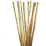 Natural Thick Bamboo Stakes 2.5 Feet Tall About Half Inch Diameter - Pack of 8 (Natural Yellow)