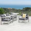 Darius Outdoor Aluminum Club Chairs Set of 4 Sliver Gray