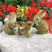 Design Toscano The Bunny Den Rabbits Garden Animal Statues 5 Inch Set of Three Polyresin Full Color