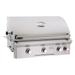 American Outdoor Grill T-Series 30 in. Built-In Gas Grill