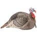 Hunters Specialties 100003 Strut-lite Jake Turkey Decoy