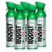 Boost Oxygen Natural Portable 10 L Pure Canned Oxygen Flavorless (5 Pack)