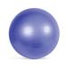 CAP Fitness Stability Ball 65cm Purple